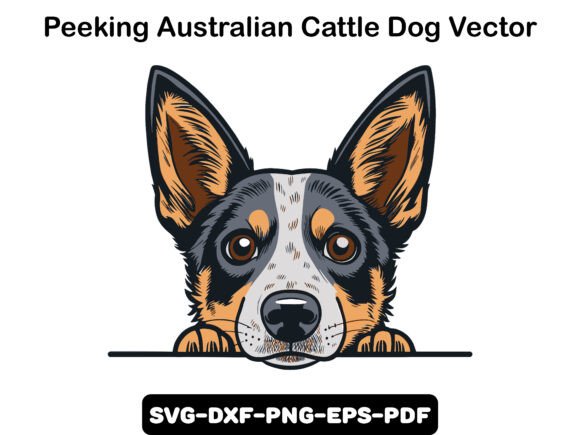 Peeking Australian Cattle Dog Vector: Graphics for T-Shirt Designs